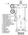 Old Basilica Floorplan